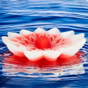 Velas